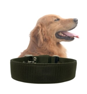 Obojok VEP jednofarebný