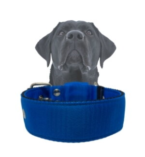 Obojok VEP jednofarebný