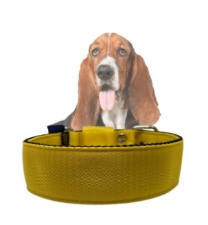 Obojok VEP jednofarebný