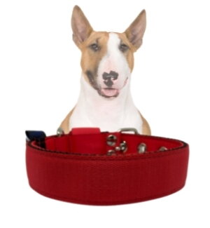 Obojok VEP jednofarebný